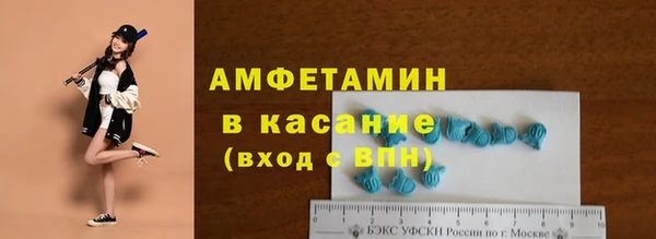 ПСИЛОЦИБИНОВЫЕ ГРИБЫ Дмитриев