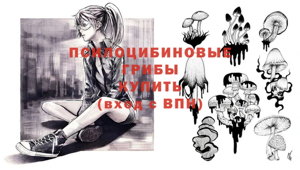 ПСИЛОЦИБИНОВЫЕ ГРИБЫ Дмитриев