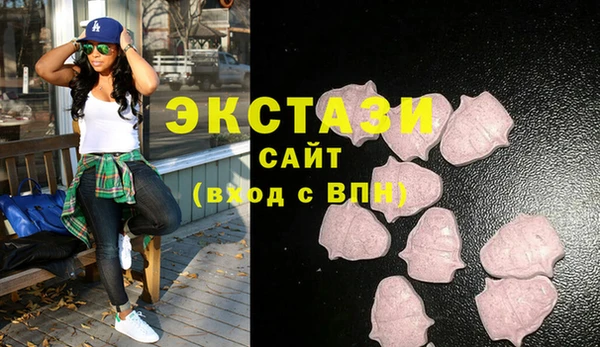 твердый Дмитровск