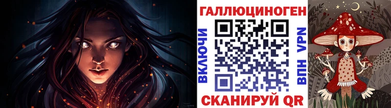дарк нет какой сайт  Юрюзань  Псилоцибиновые грибы GOLDEN TEACHER 